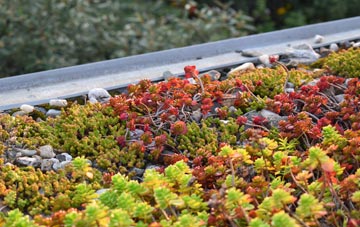 the cost of Buckie green roof installation