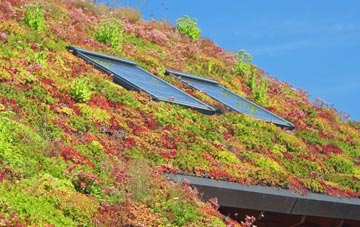 Buckie living roof systems