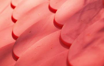 Buckie plastic roof costs