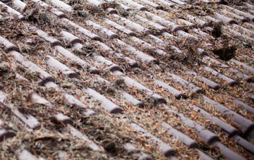 Buckie roof cleaning companies