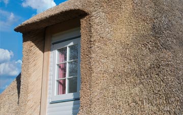 Buckie thatch roof disadvantages