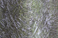 Buckie fibreglass roof work